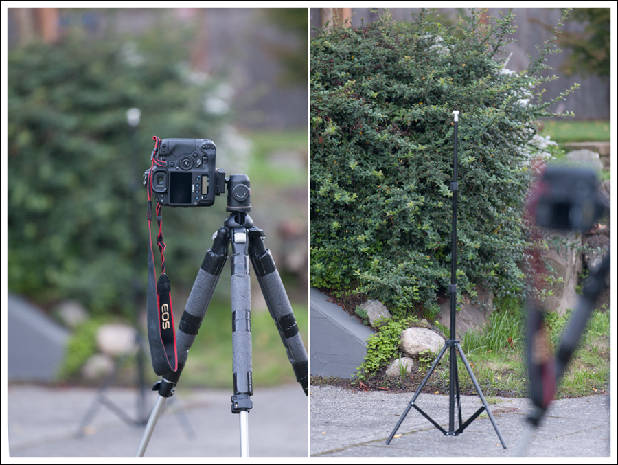 Blog Hudson Jeans Pink Converse-