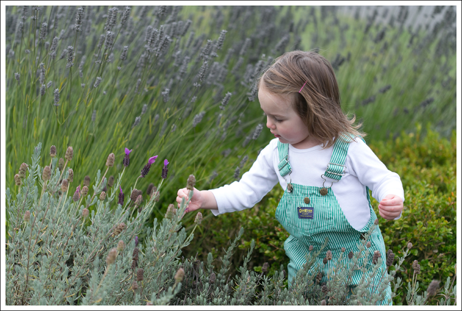 Blog Maya 105 weeks Green Striped Osh Kosh Overalls-1