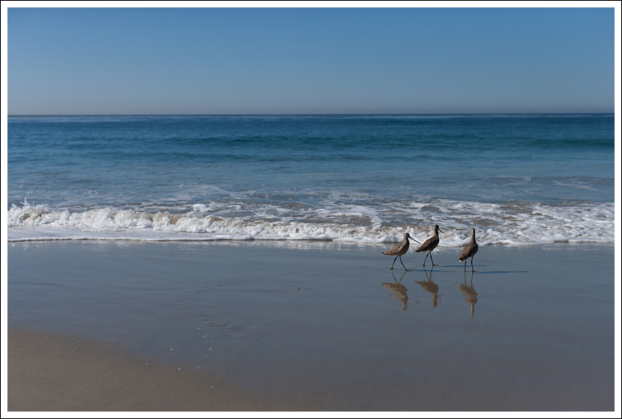 Blog StyleMint Current Elliott-5