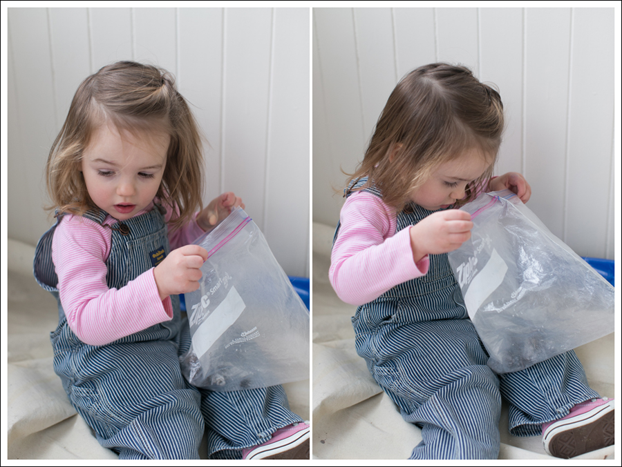 Blog DIY Christmas Pinecones-3