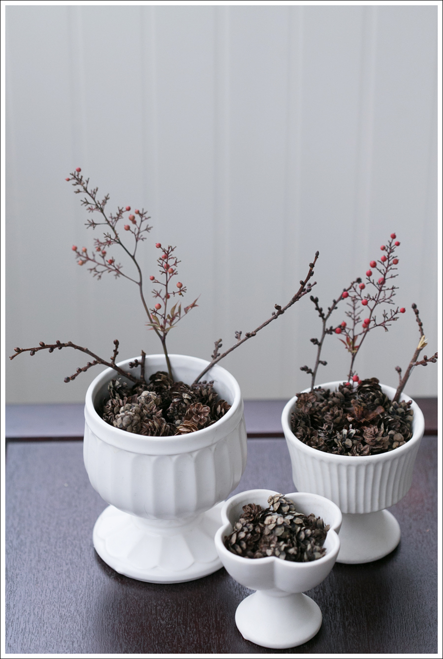 Blog DIY Christmas Pinecones-5