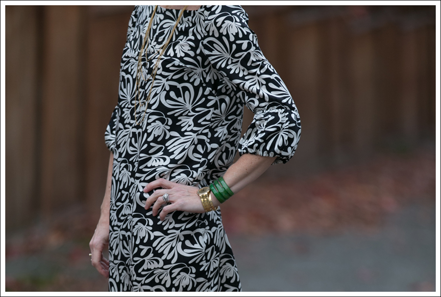 Blog Joie Silk Dress-3