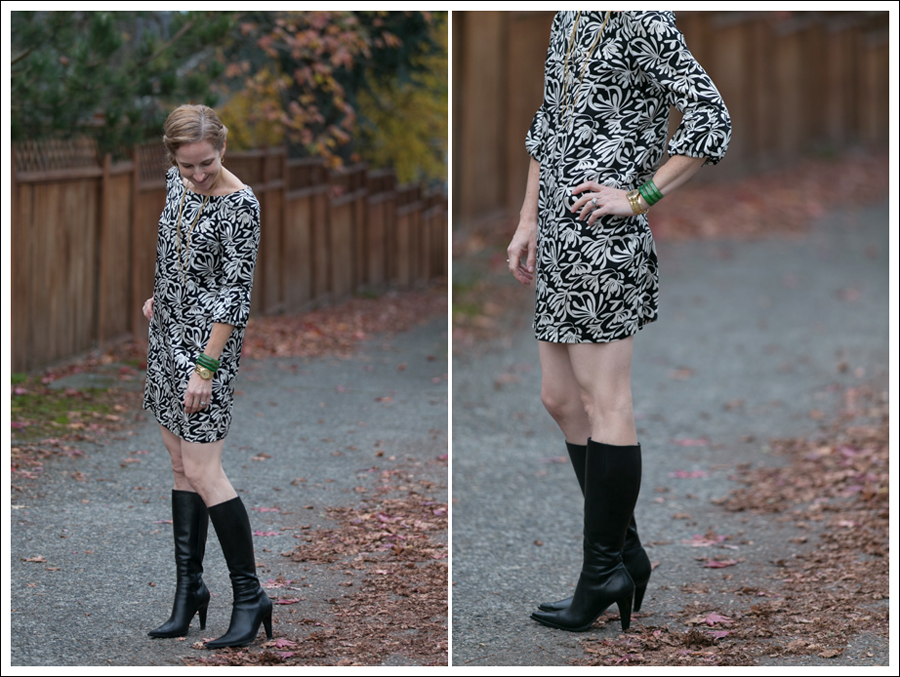 Blog Joie Silk Dress-6