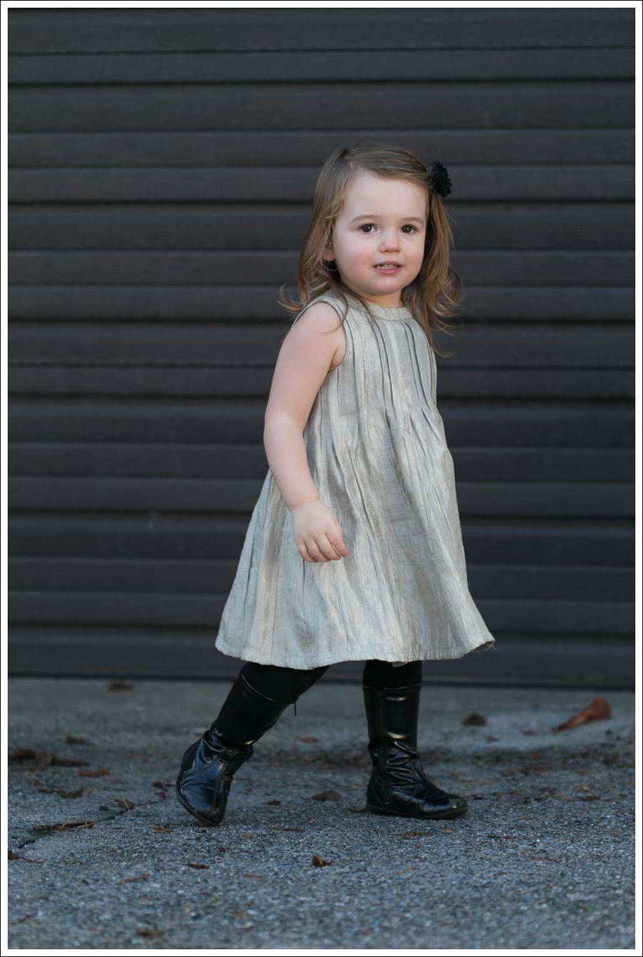 Blog Joie Silk Dress-8