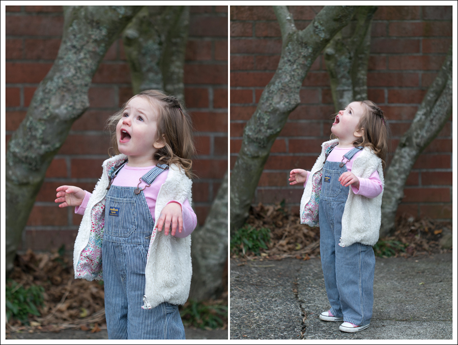 Blog Lily McNeal Hudson Lace Up Boots-13