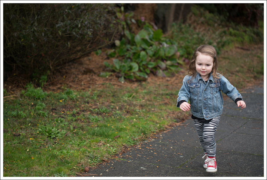 Blog J Crew Zara Current Elliott Frye Booties-11