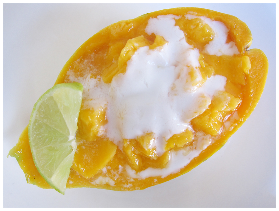 Blog papaya1