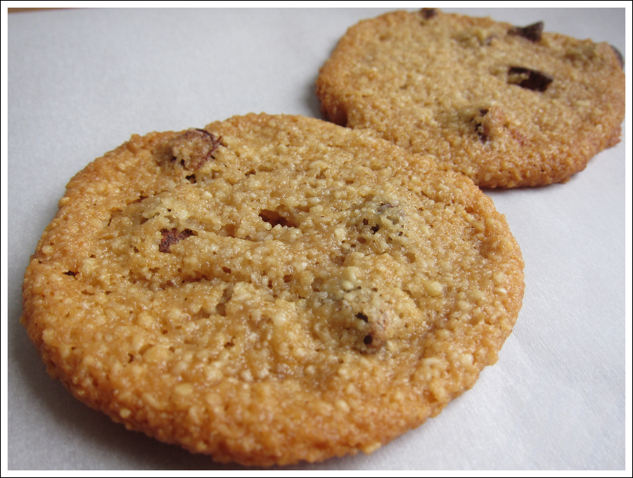 blog chocochipcookies