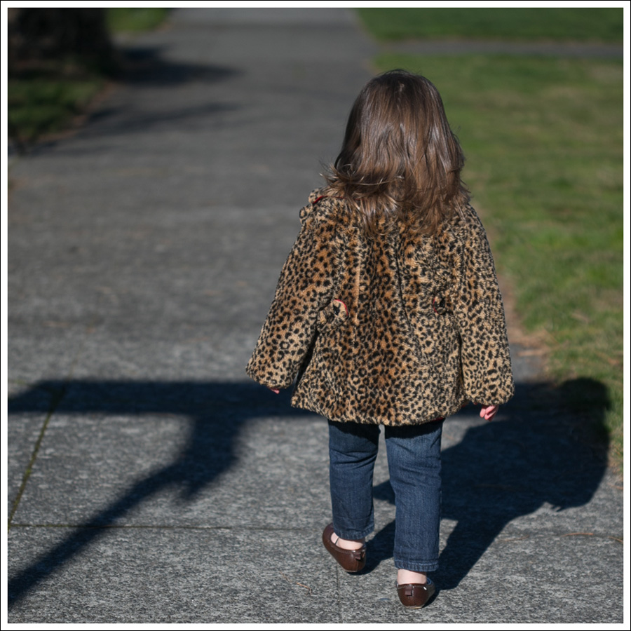 Blog Zara Button Back Sweater Goldsign Frontier Target Leopard Flats-10