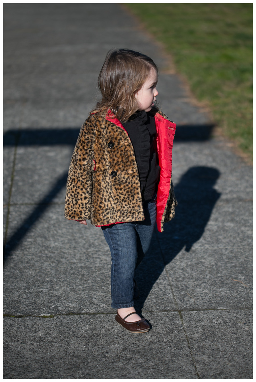 Blog Zara Button Back Sweater Goldsign Frontier Target Leopard Flats-9