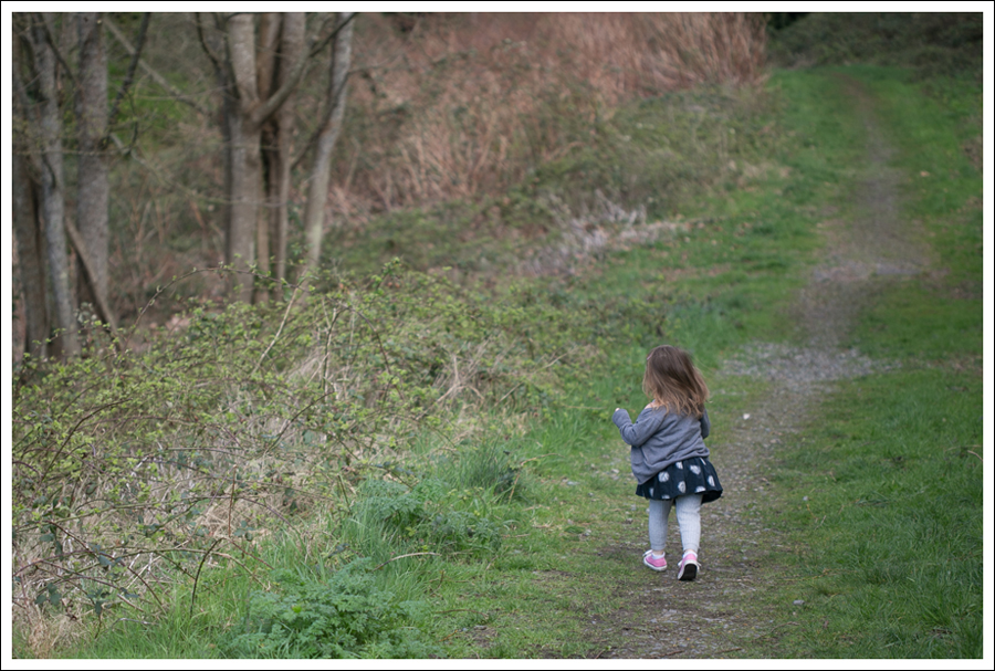 Blog Banana Republic Sweater Current Elliott Boyfriend Jeans Converse-7