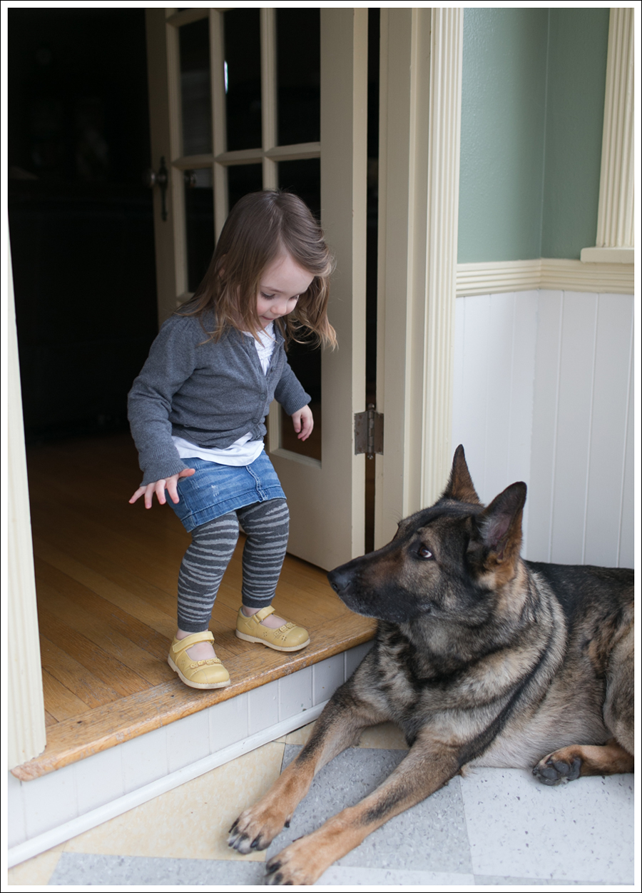 Blog Twenty8Twelve Dress Joie Boots-7