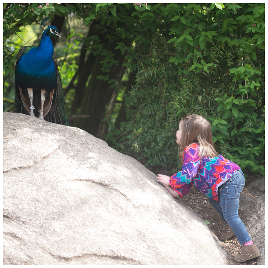 Blog AE Shirt DL1961 Jeans Fiorentini Baker-7040 Boot-7