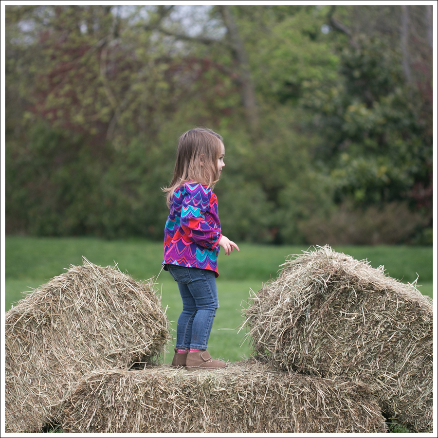 Blog AE Shirt DL1961 Jeans Fiorentini Baker-7040 Boot-9