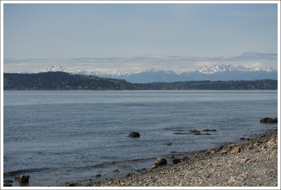 Blog Diabless Tank Joes Jeans Mia Leopard Sandals-11