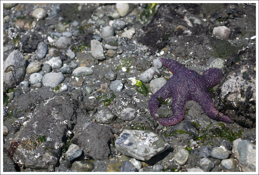 Blog Maya 134 weeks Gap Dress Leggings Converse-5