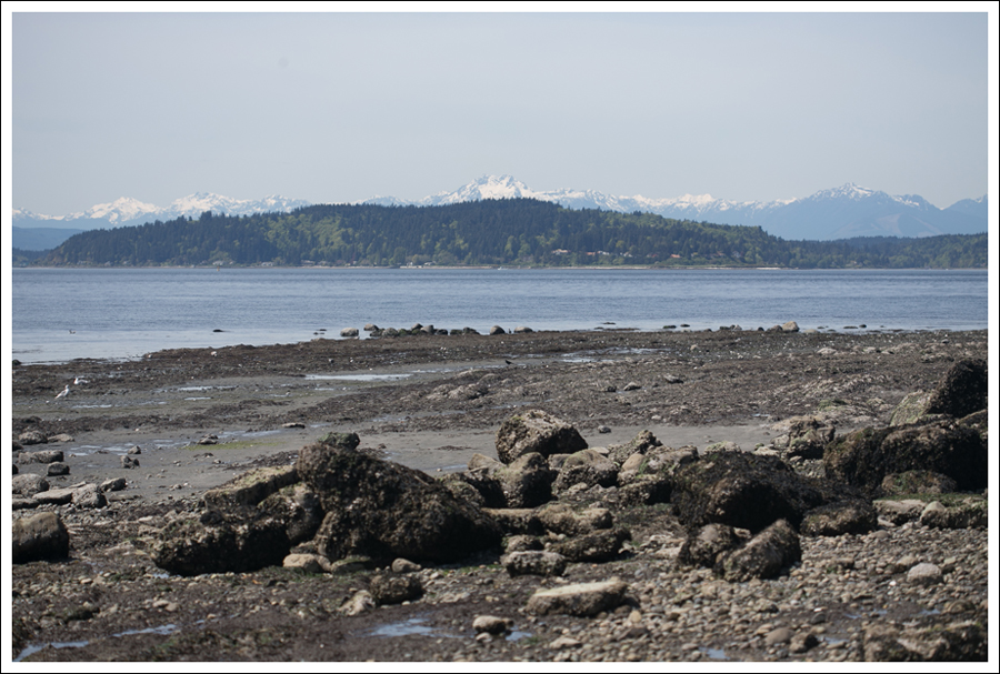 Blog Maya 134 weeks Gap Dress Leggings Converse-7