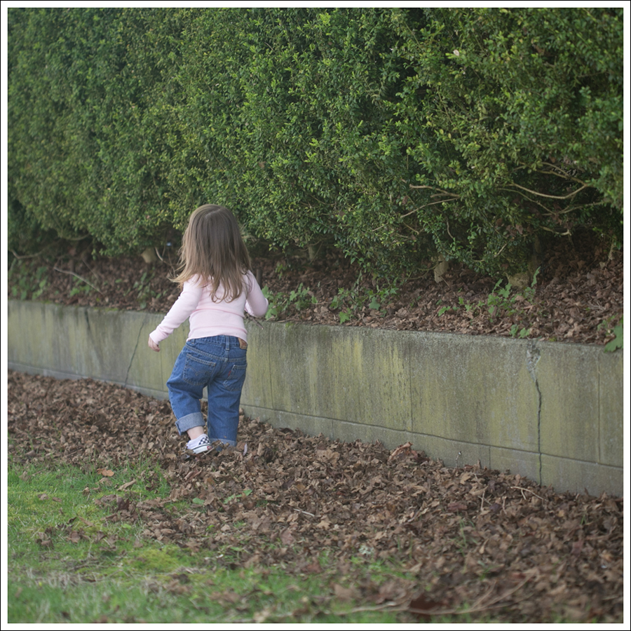 Blog Stem Top Current Elliott Army Pant Dr Scholls-11