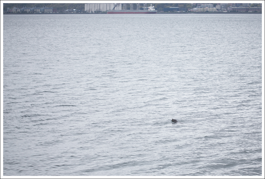 Blog Zara Button Back Sweater Destroyed Current Elliott Crop Skinny Leifnotes Flats-15