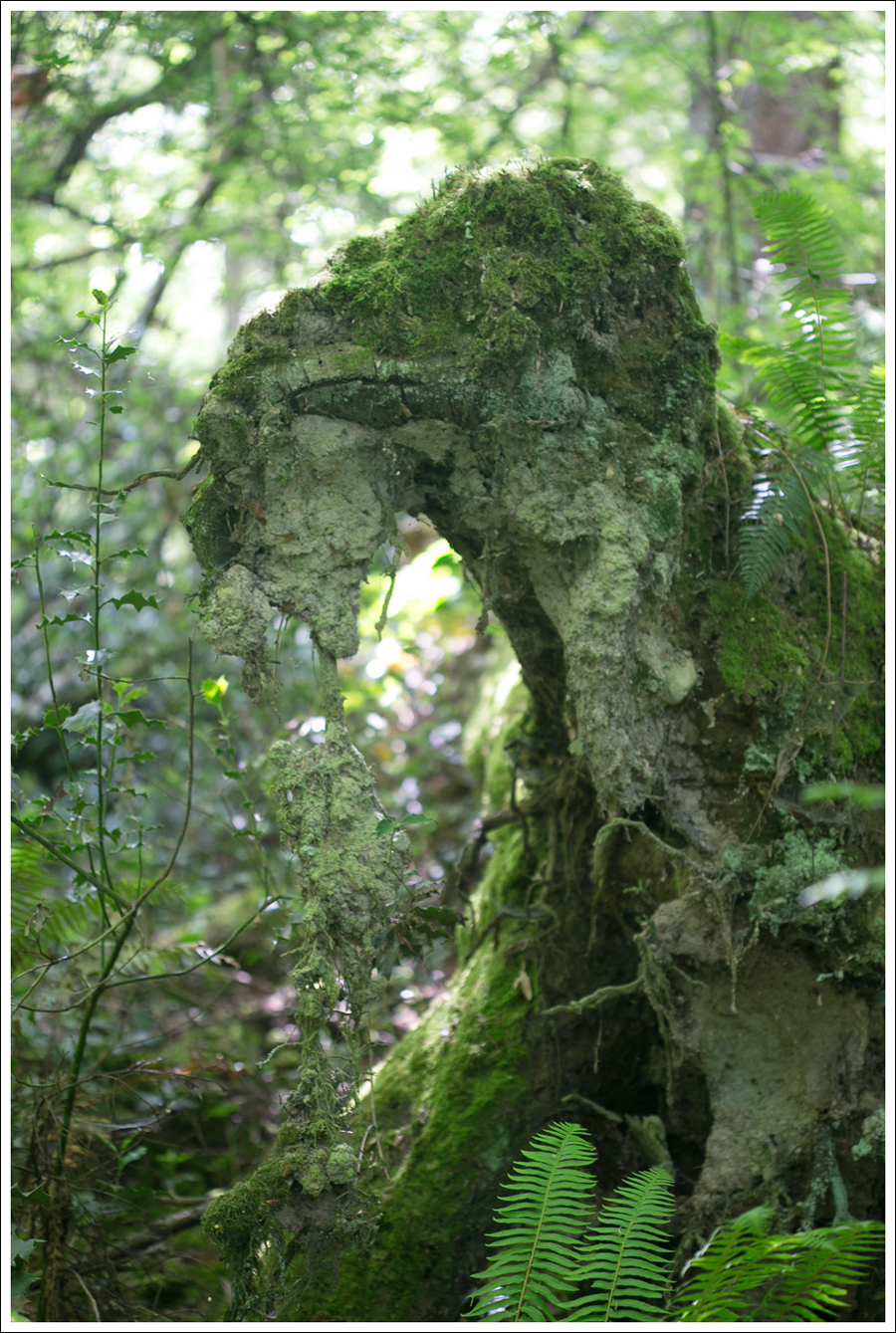 Blog Free People Top Vintage Levis 501 Birkenstocks-7