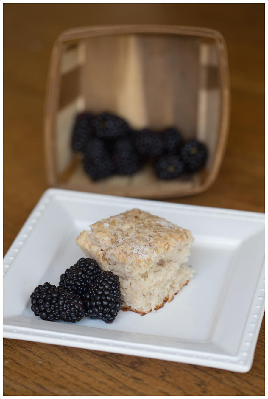 Blog Greek Yogurt Coffee Cake