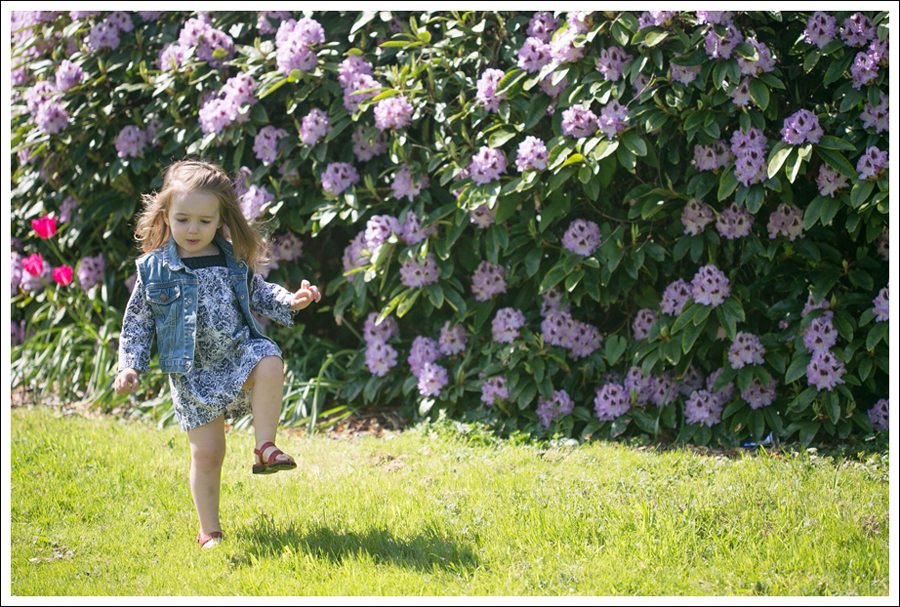 Blog HM DL1961 Rafe-7