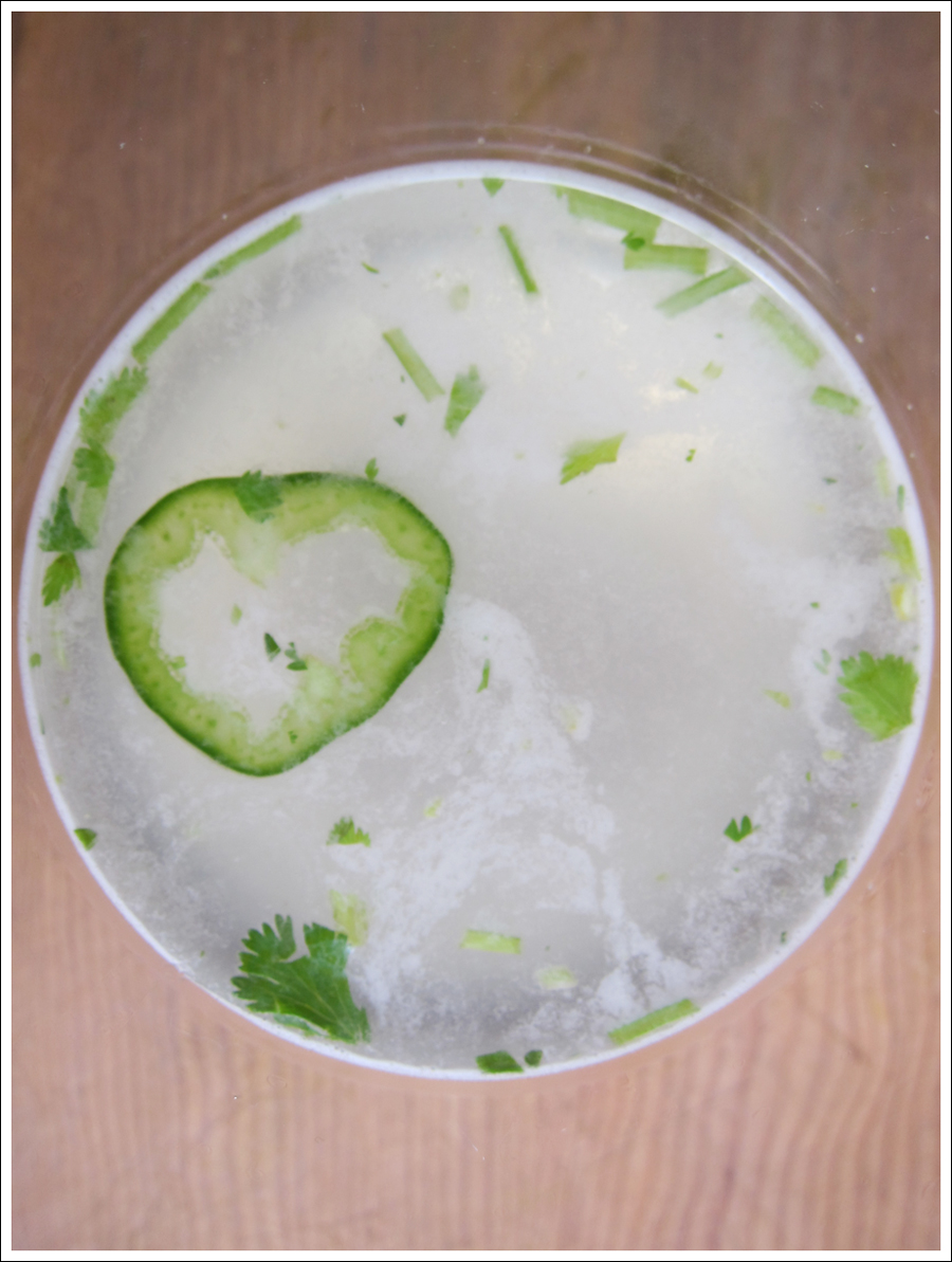 Blog margaritacilantropineapple1