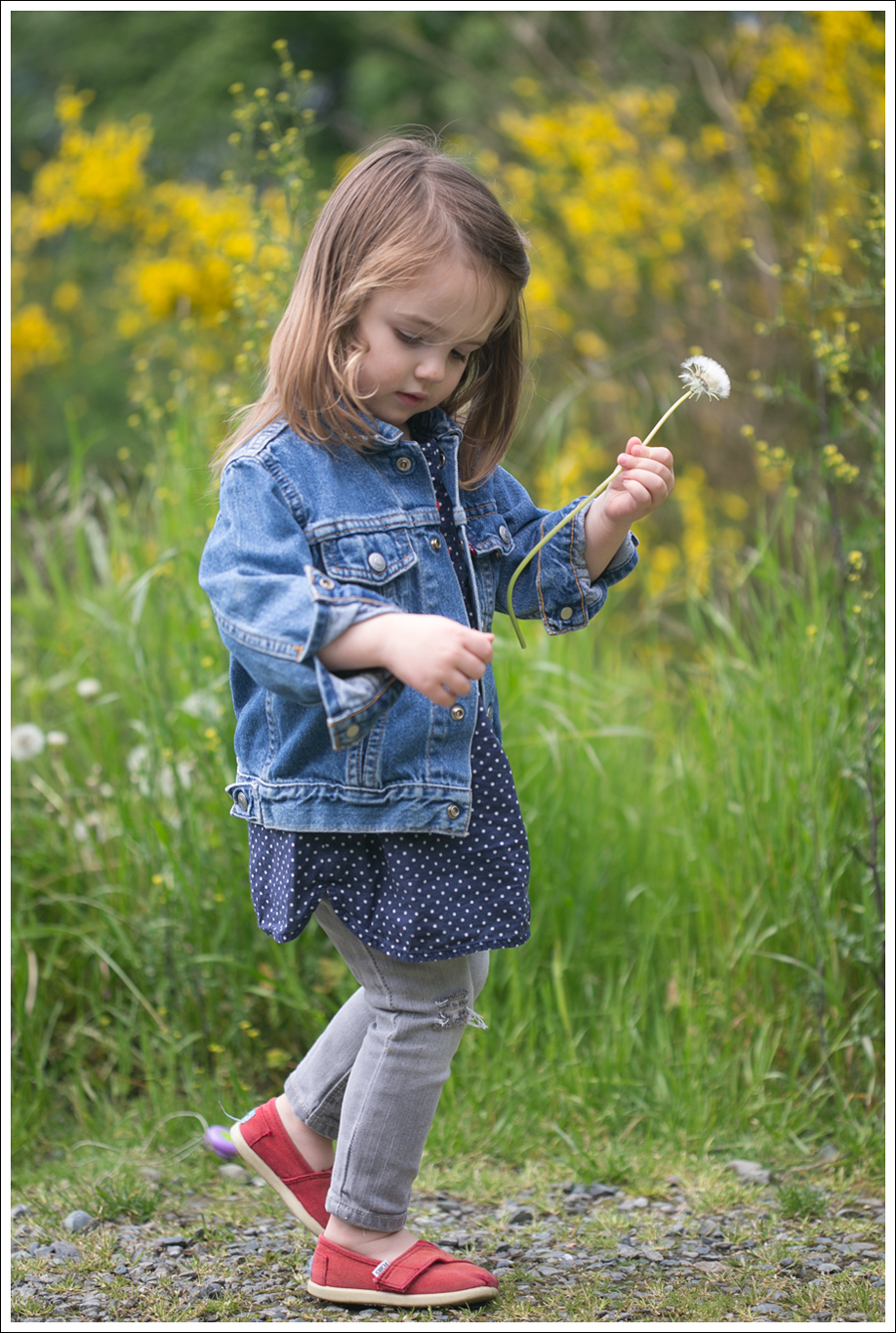 Blog Maya 135 weeks Levis Jacket Gray destroyed Gap Toms-3