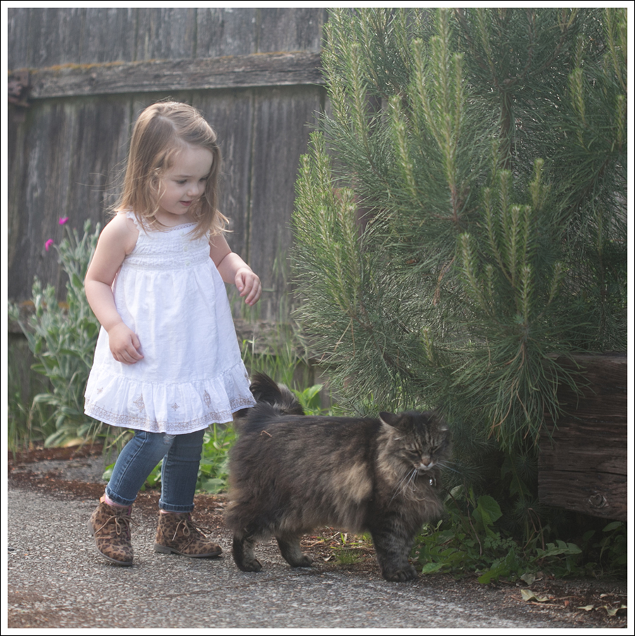 Blog Maya 137 weeks old navy boho Gap Destroyed Leopard Carters Booties-4