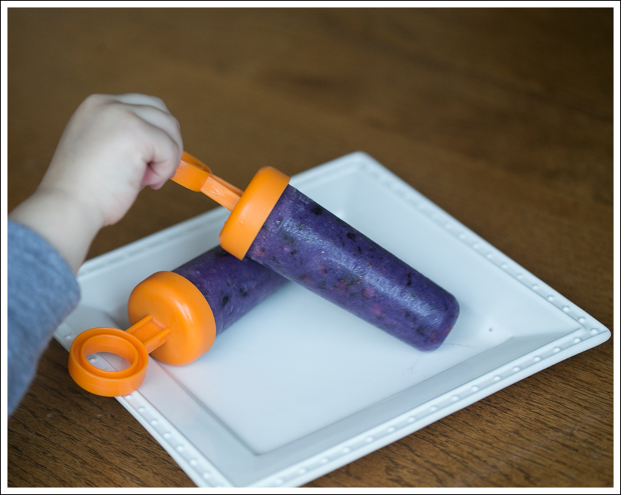 Blog Blueberry Greek Yogurt Popsicles-2