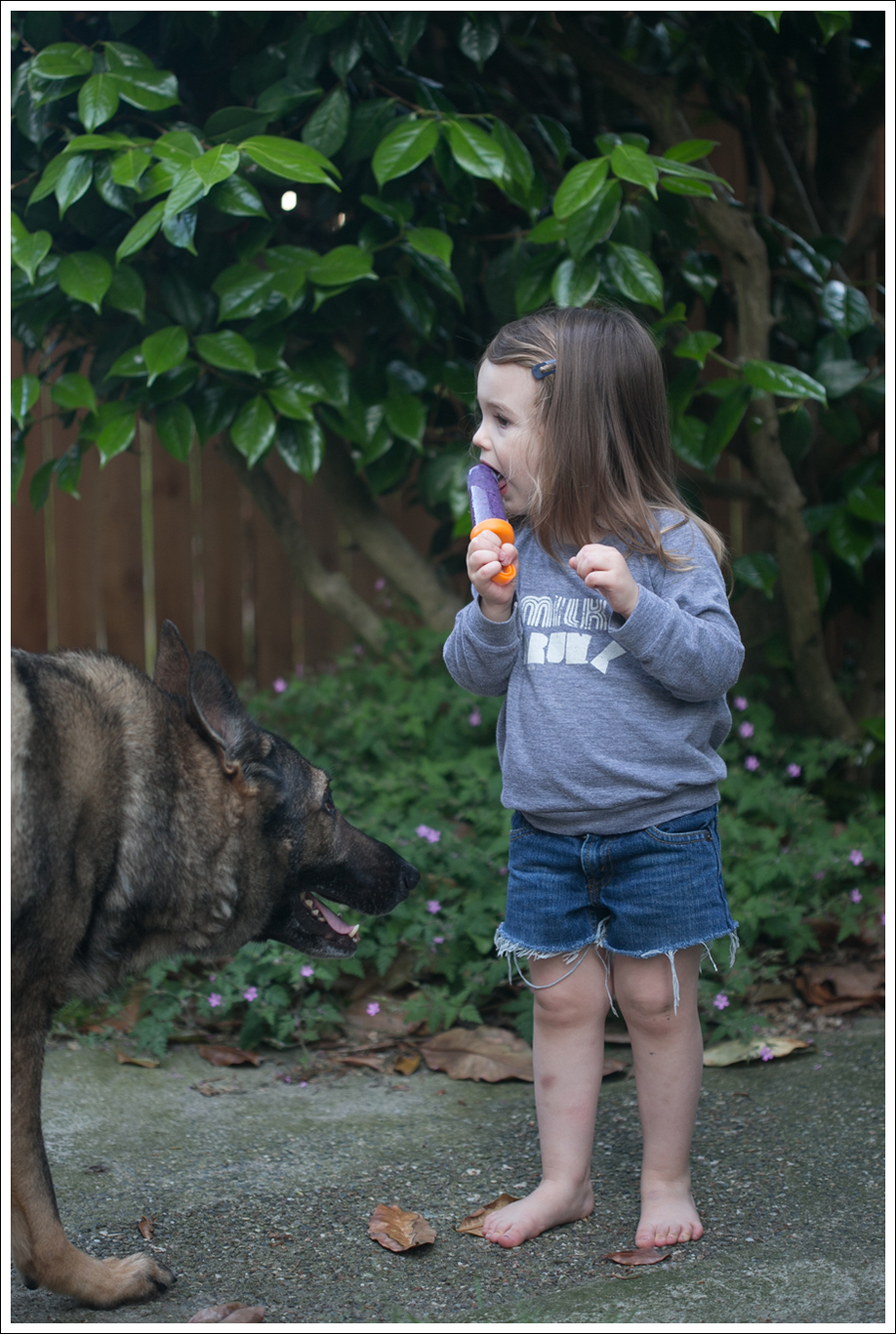 Blog Blueberry Greek Yogurt Popsicles-3