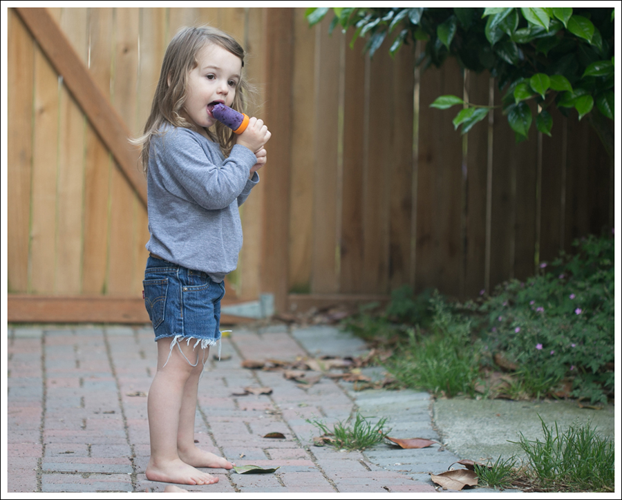 Blog Blueberry Greek Yogurt Popsicles-4