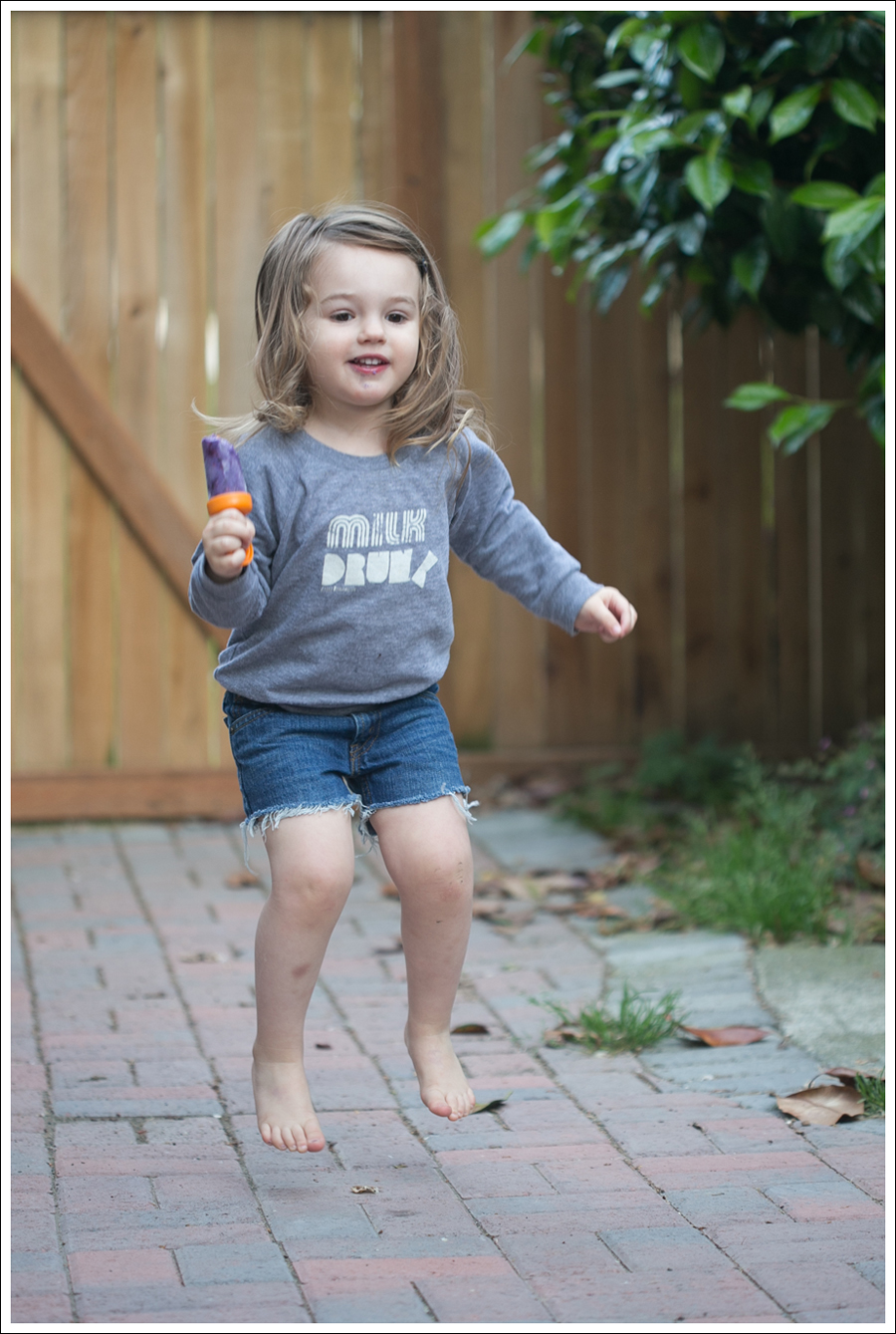 Blog Blueberry Greek Yogurt Popsicles-5