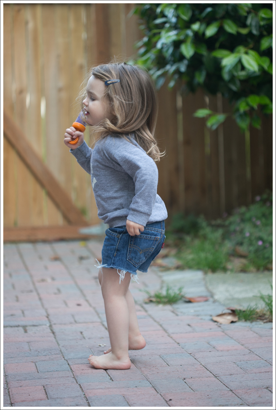 Blog Blueberry Greek Yogurt Popsicles-6