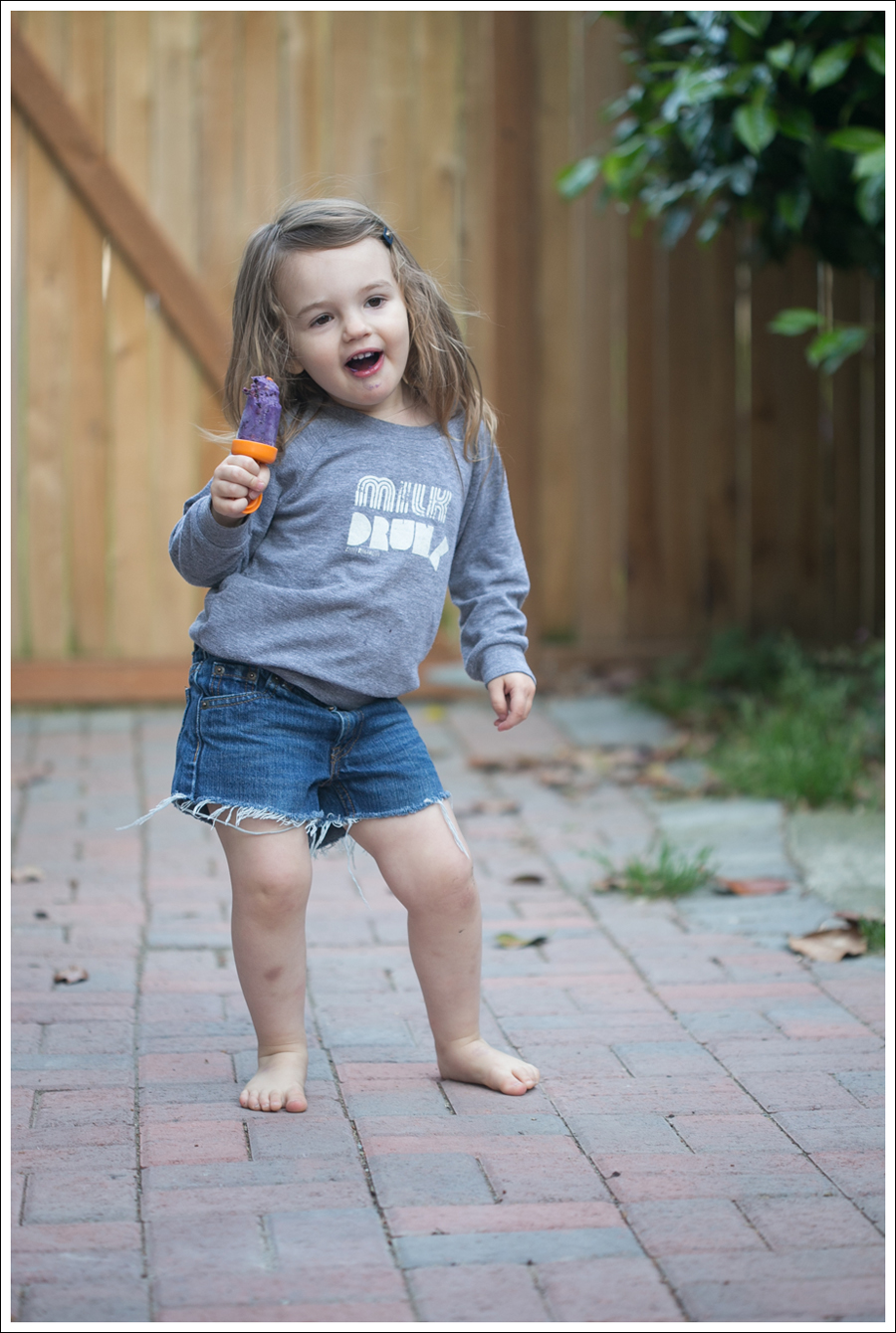 Blog Blueberry Greek Yogurt Popsicles-7