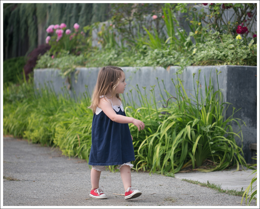 Blog Gap Dress B Nature Bloomers Red Converse-5