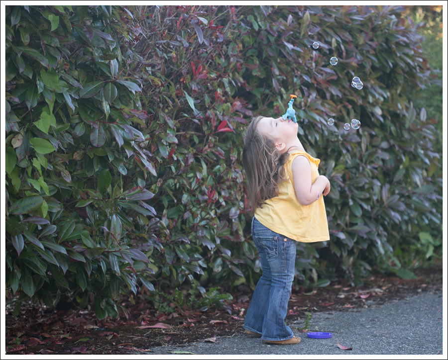 Blog Joes Jeans Shirtdress Steve Madden Genevvaa Rafe Purse-11