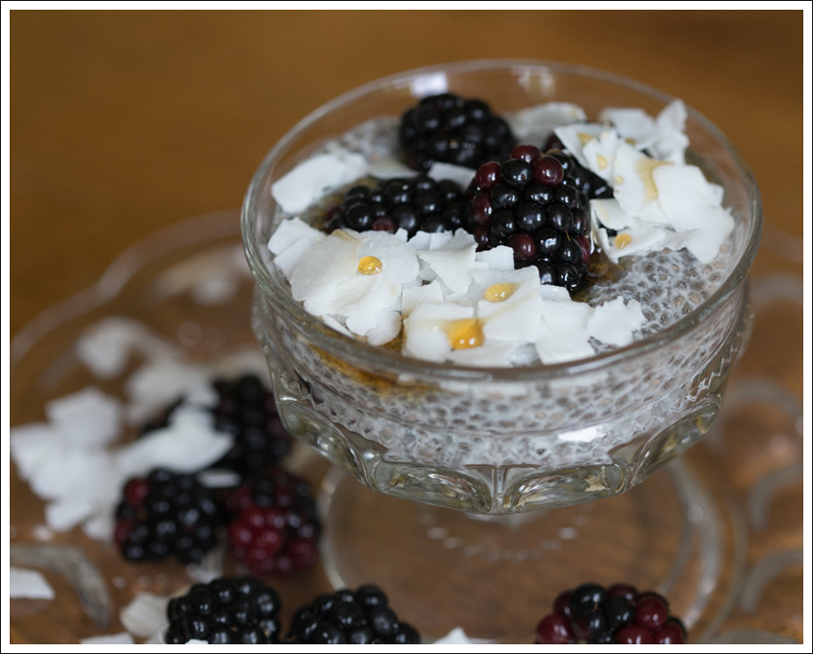 Blog Paleo Chia Pudding with Blackberries Coconut Shavings-2