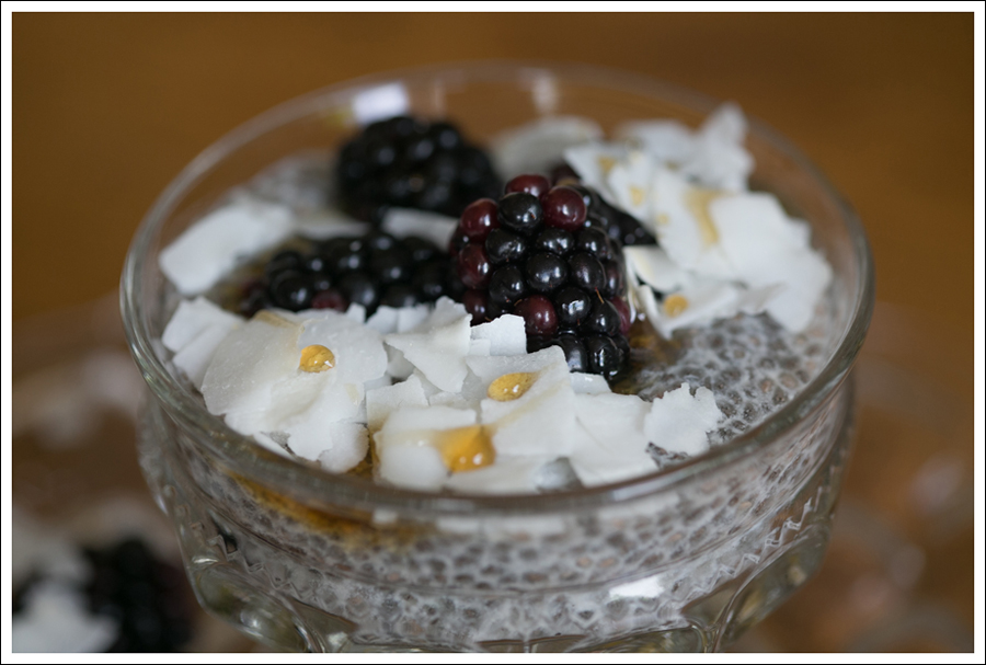 Blog Paleo Chia Pudding with Blackberries Coconut Shavings-3