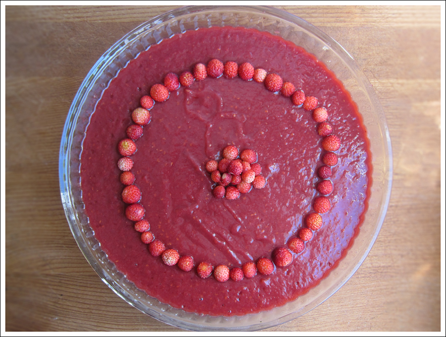 Blog paleorhubarbstrawberrytart1