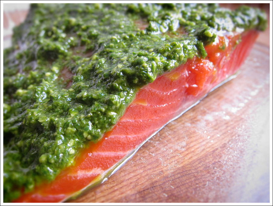 Blog pestosalmon1