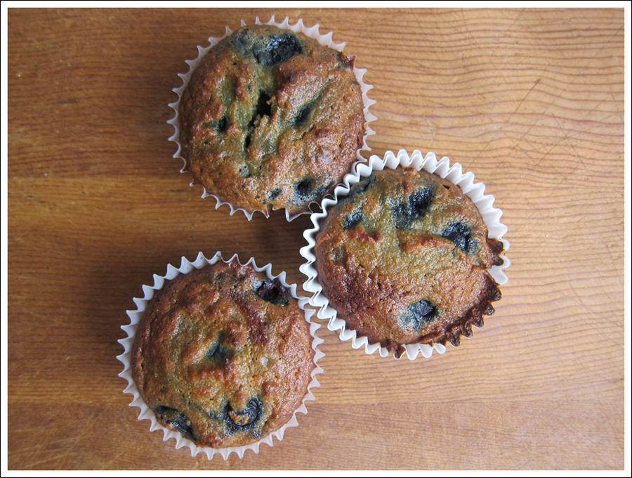 Blog blueberrypaleomuffins1