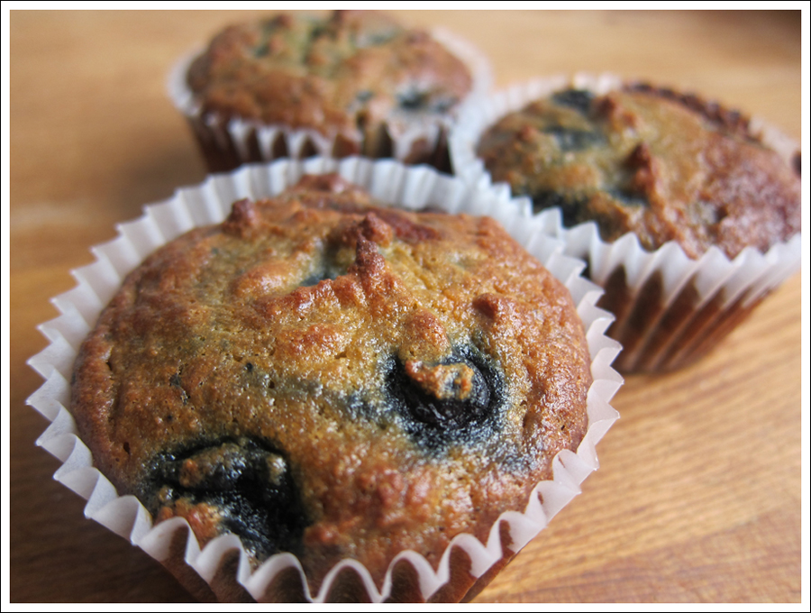 Blog blueberrypaleomuffins2
