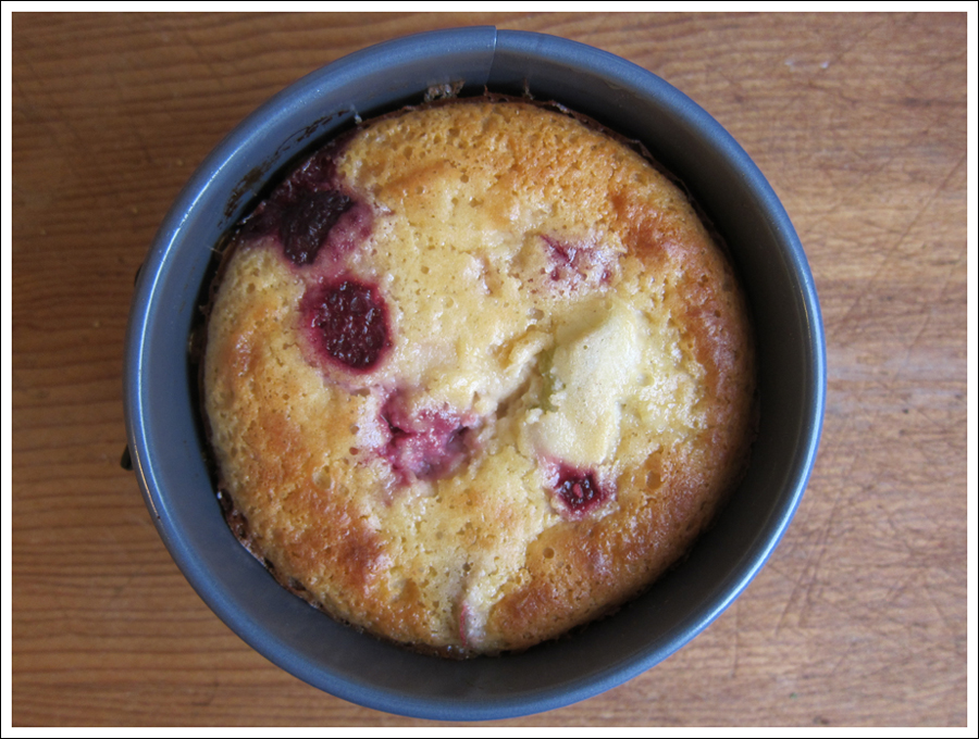 Blog rhubarb clafouti 1