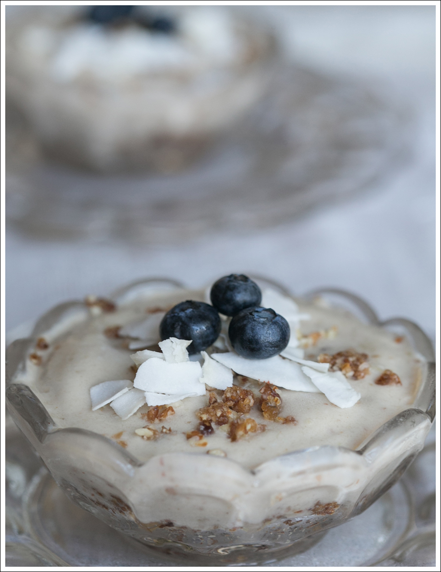 Blog Paleo Vegetarian Vegan Banana Almond Coconut Ice Cream Pies-2
