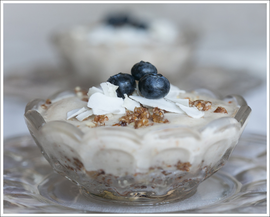 Blog Paleo Vegetarian Vegan Banana Almond Coconut Ice Cream Pies-