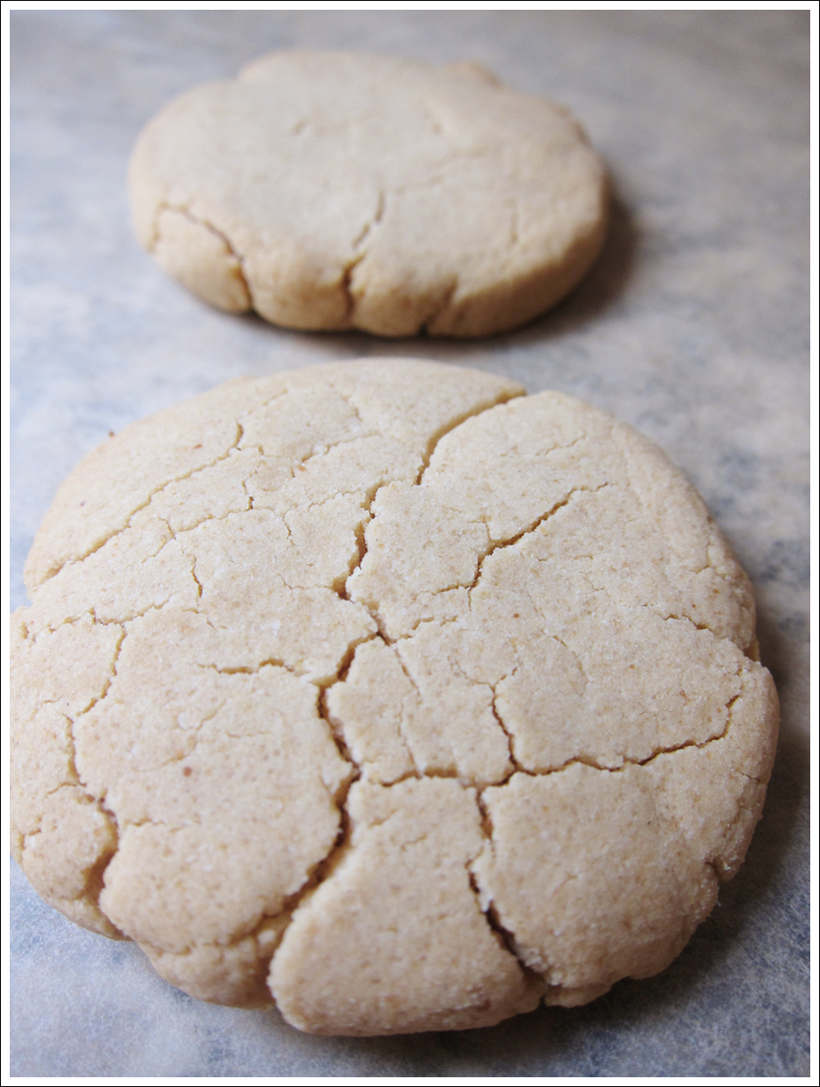 Blog tiramisu paleo biscuits (1)