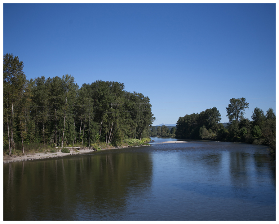 Blog Tolts Macdonald Park-5