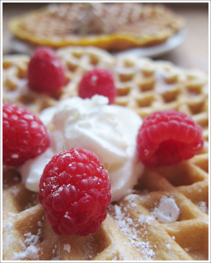 Blog gluten free waffles 2 (4)