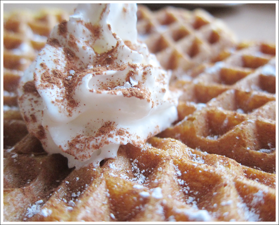 Blog gluten free waffles 2 (6)
